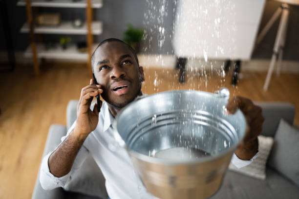 Best Water damage cleanup near me  in Sealy, TX