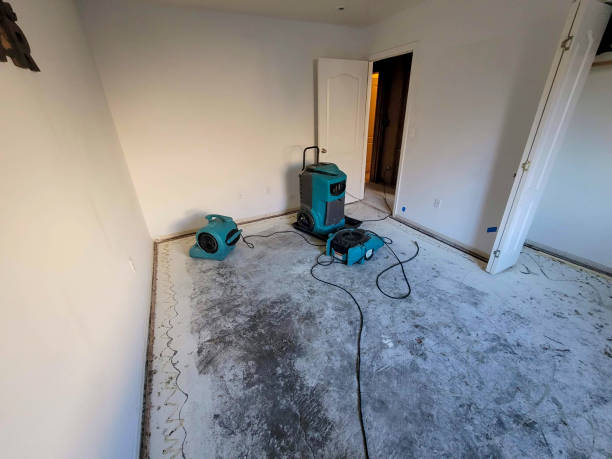 Best 24-hour water damage restoration  in Sealy, TX