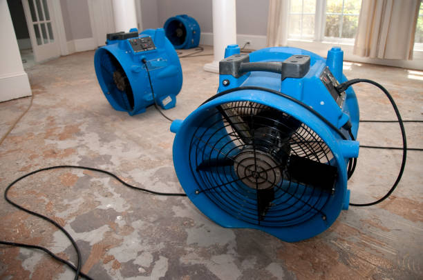 Best Fire Damage Restoration  in Sealy, TX