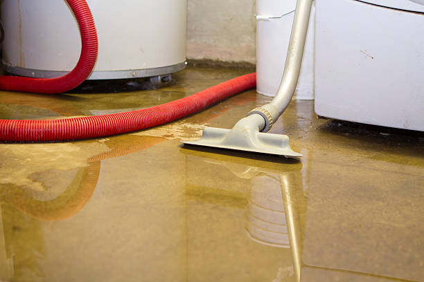 Best Water damage restoration near me  in Sealy, TX