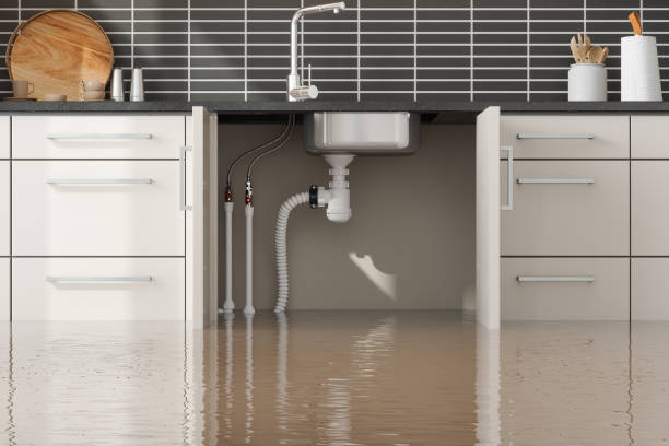 Best Sewage cleanup and water damage restoration  in Sealy, TX