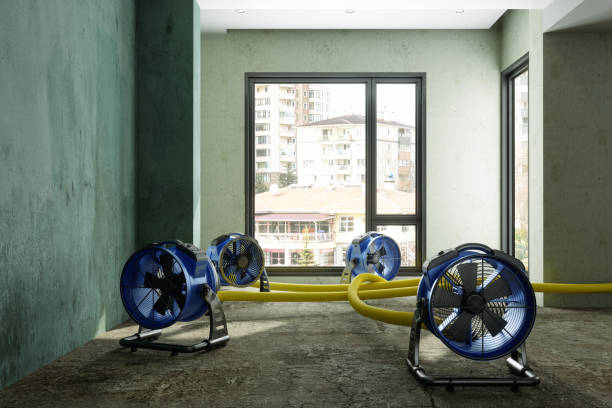 Best Flood restoration services  in Sealy, TX